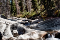 USA Kings Canyon - foto: Henrik Maribo Pedersen